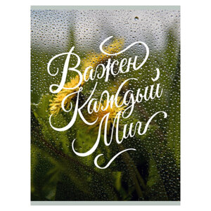 Тетрадь  80л А4 Клетка Важен каждый миг пластик обл скрепка ТП4805151