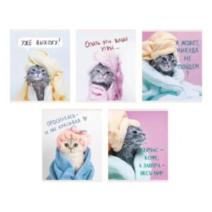 Тетрадь  48л Линия А5 Утро кошечки Скрепка 5 видов ТЛ488650