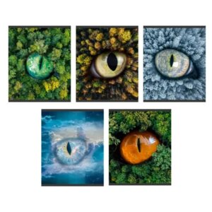 Тетрадь  48л Клетка А5 Взгляд на природу Скрепка 5 видов ТКФ2Л488732