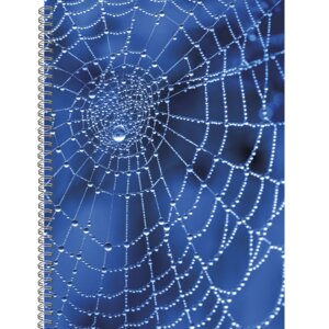 Тетрадь 120л А4 Линия Паутина Евроспираль ТС41205241
