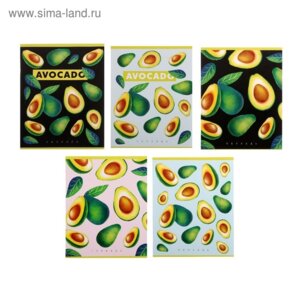 Тетрадь  48л Клетка Авокадо 5В микс 4841459