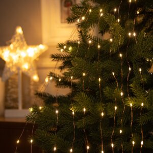 Гирлянда хвост ROSA IP20 1.5м 10 нитей Н М LED 1608 -150-12V БП Т Белый 5206131