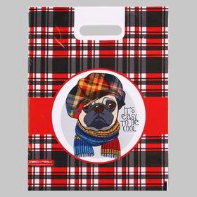 Полиэтиленовый пакет Друг 30х40  5221752