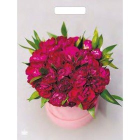 Полиэтиленовый пакет Букет пионов 31х40см 7669465