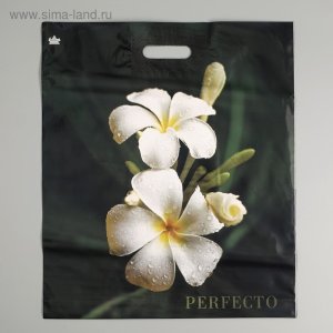 Полиэтиленовый пакет Перфекто плюмерия 42х48см 4332258