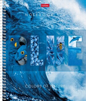 Тетрадь 120л А5 Клетка Гармония цвета на спирали 120Тт5В1сп_29023