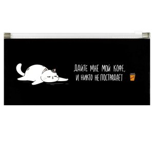 Папка на молнии 26х14см 180мкм Кот пластик 69013