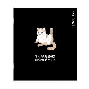 Тетрадь предм 48л Клетка КОТЫ МЕМЫ Геометрия 69821