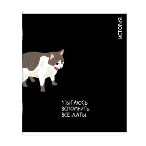 Тетрадь предм 48л Клетка КОТЫ МЕМЫ История 69823