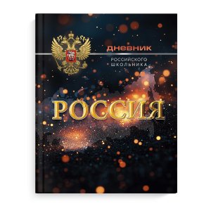 Дневник 1-11 российского школьника Символика Сияние 69755
