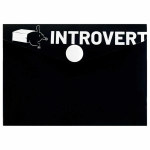 Папка для карт и визиток пластик Интроверт 10.5х7.4см 69040