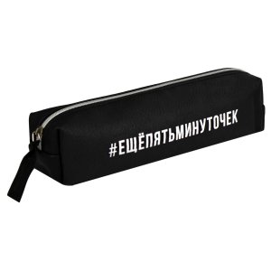 Пенал школьный ФРАЗЫ С ХАРАКТЕРОМ  20,5х5х4см искусственная кожа 68456