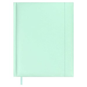 Дневник 1-11 МЯТНЫЙ ПЛОНЖЕ поролон 67680