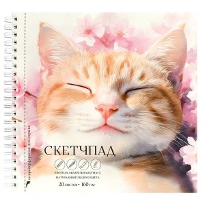 Скетчпад 20л 195х195мм Спящий кот 160г/м²  Спираль 70147