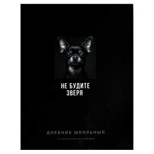 Дневник 1-11 ФРАЗЫ С ХАРАКТЕРОМ  70963