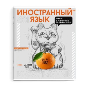 Тетрадь предметная арт. 67546/ 16 "ЯРКИЕ ДЕТАЛИ" ИНОСТРАННЫЙ ЯЗЫК /48 л., А5+, вн.блок - клетка, бел