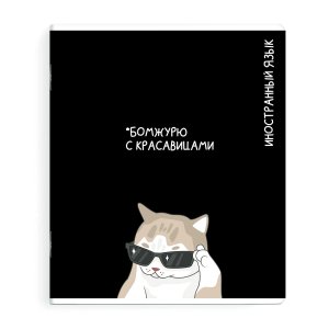 Тетрадь предм 48л Клетка КОТЫ МЕМЫ ИНОСТРАННЫЙ ЯЗЫК 69829