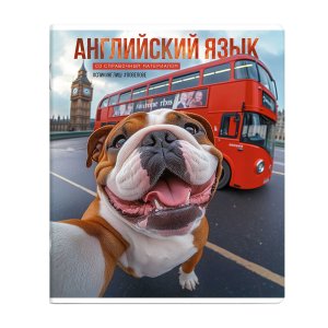 Тетрадь предм 48л Клетка СЕЛФИ АНГЛИЙСКИЙ ЯЗЫК 69843