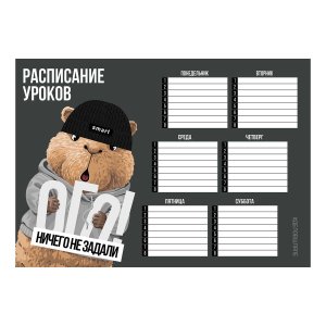 Расписание уроков А4 КАПИБАРА В ШАПКЕ 210x297 мм мелованный картон 72595
