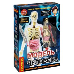 Японские опыты Науки с Буки Модель человека