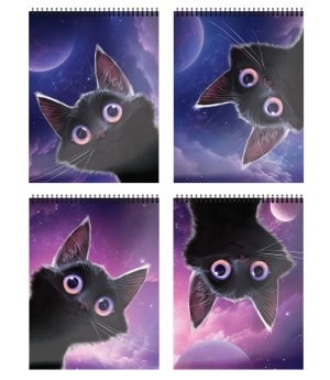 Блокнот  40л А6 Игривый космокотик Уф-лак Спираль БЛГ6-ИКК БЛГ6-ИКК