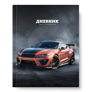 Дневник 1-11 На старте  матов 14485-EAC