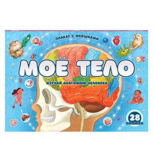 Плакат с окошками Мое тело