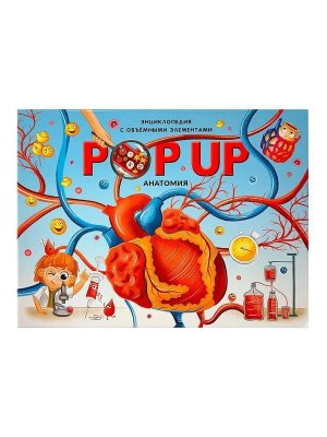 POP UP энц Анатомия
