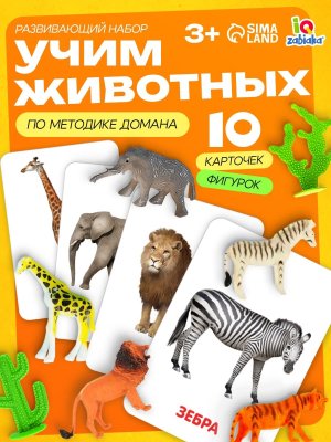 Развивающий набор Дикие животные по методике Домана  4474172