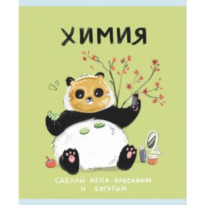 Тетрадь 48л Клетка Химия Панда ТТКЛ489006