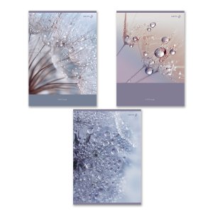 Тетрадь  96л Клетка А4 Утренняя роса 01351