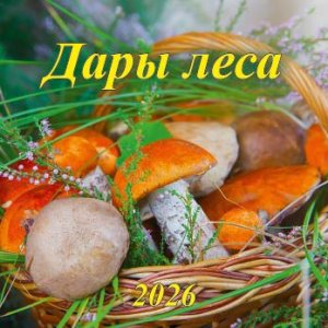 Кал 2026 Настен Дары леса 285х285 мм 06-260012