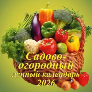 Кал 2026 Настен Садово огородный лунный 285х285 мм 06-260018