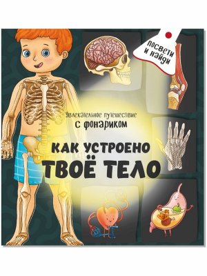 Книжка с фонариком Как устроено твое тело