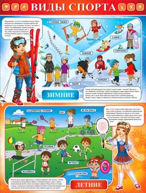 Плакат Виды спорта P2-275