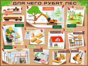 Плакат Для чего рубят лес P2-246