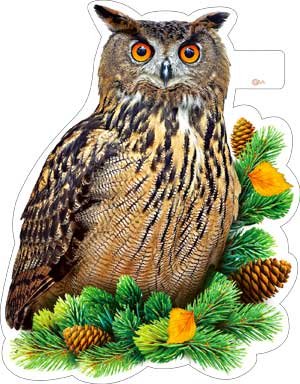 Плакат фигурный Сова на ели P33-144