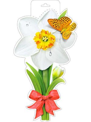 Плакат фигурный Нарцисс P34-253