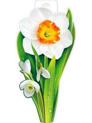 Плакат фигурный Весенние цветы P34-73