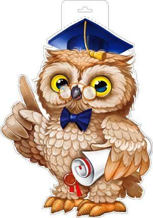 Плакат фигурный Умная Сова P34-435