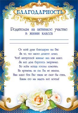 Благодарность за активное участие в жизни класса 0-428
