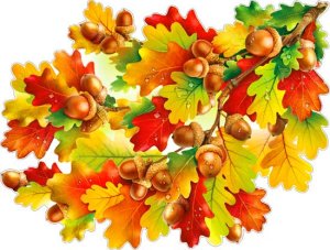 Плакат фигурный Ветка дуба P2V-303