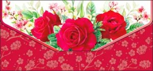 Конверт Без надписи жен 90-120-C