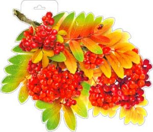 Плакат фигурный Ветка рябины P34-274