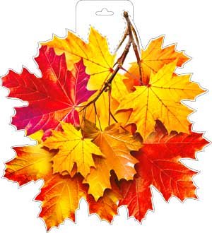 Плакат фигурный Кленовые листья P34-116