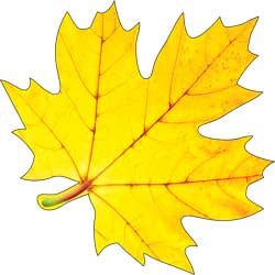 Украшение Кленовый лист желтый 113-74-A