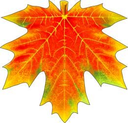 Украшение Кленовый лист оранжевый 113-71-A