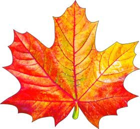 Украшение Кленовый лист желто оранжевый A1-113-197