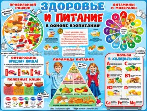 Плакат Здоровье и питание P2-708