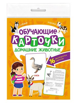 ОБУЧАЮЩИЕ КАРТОЧКИ ДОМАШНИЕ ЖИВОТНЫЕ европодвес ПрПр